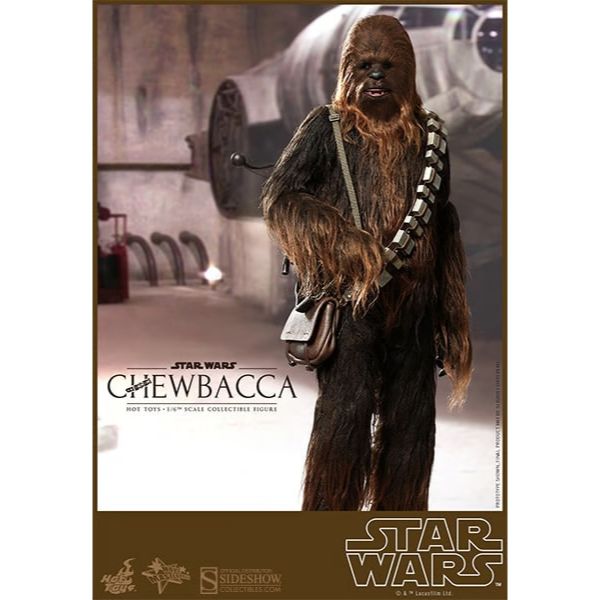 Hot Toys Star Wars: Han and Chewie with Heavy Blaster Action Figure MMS263