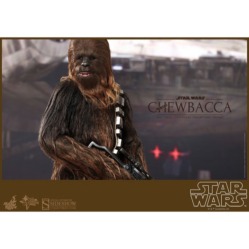 Hot Toys Star Wars: Han and Chewie with Heavy Blaster Action Figure MMS263