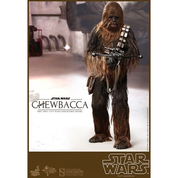 Hot Toys Star Wars: Han and Chewie with Heavy Blaster Action Figure MMS263