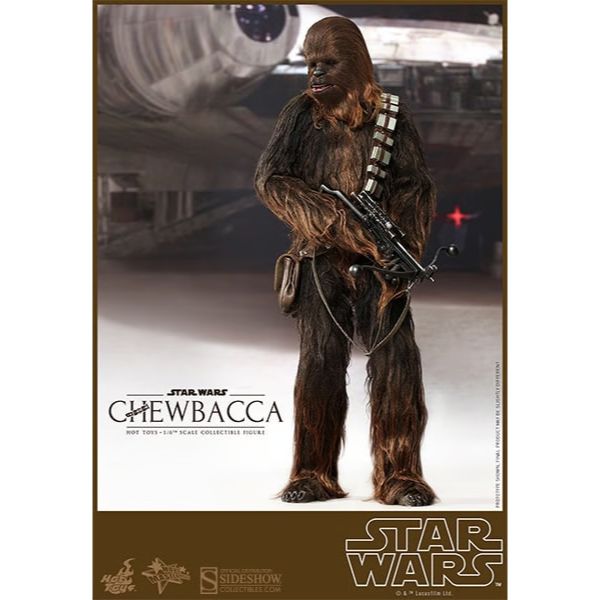 Hot Toys Star Wars: Han and Chewie with Heavy Blaster Action Figure MMS263