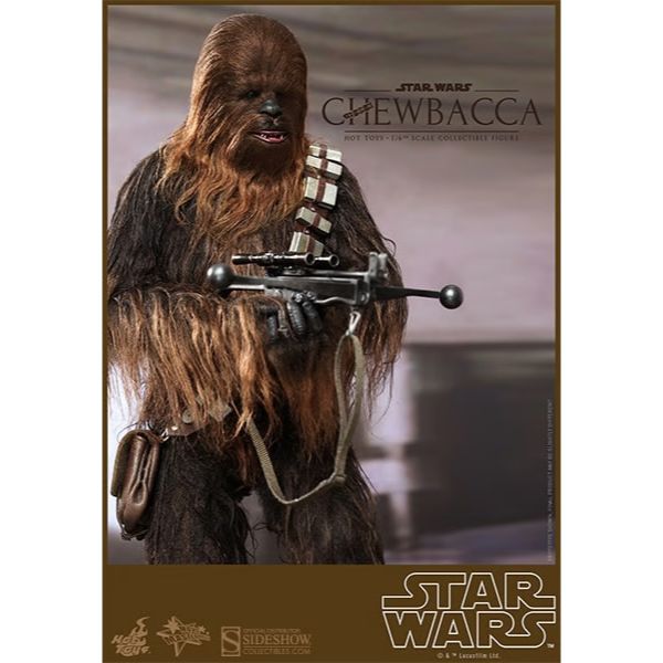 Hot Toys Star Wars: Han and Chewie with Heavy Blaster Action Figure MMS263