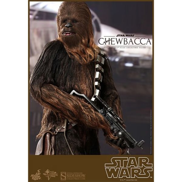 Hot Toys Star Wars: Han and Chewie with Heavy Blaster Action Figure MMS263