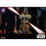 Hot Toys MMS778 Darth Maul Star Wars Celebration Japan 2025 Exclusive