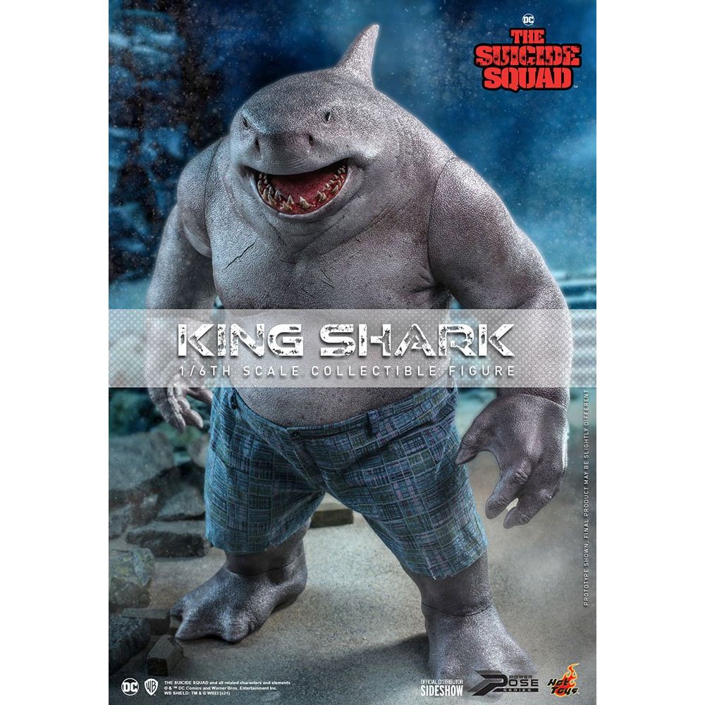 Hot Toys Suicide Squad Movie Masterpiece Action Figure 1/6
