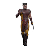 Hot Toys MMS831 Wolverine Classic 1/6 Scale Figure Deadpool & Wolverine